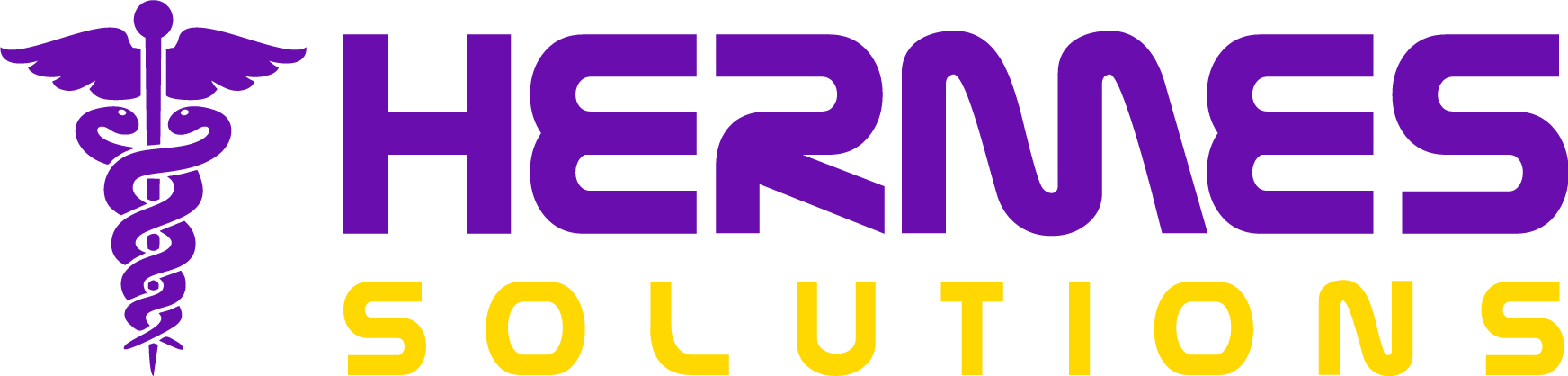 Hermes Solutions Inc.